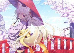 Rating: Safe Score: 82 Tags: animal_ears blonde_hair blush cherry_blossoms flowers foxgirl japanese_clothes long_hair nanao_naru petals scan tail thighhighs umbrella zettai_ryouiki User: RyuZU