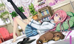 Rating: Safe Score: 305 Tags: 5_nenme_no_houkago animal barefoot bed blush book breasts calendar dog dressing flowers kantoku kurumi_(kantoku) long_hair original pink_hair purple_eyes ribbons school_uniform thighhighs tie User: Wiresetc