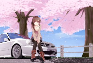 Rating: Safe Score: 345 Tags: braids breasts brown_hair car cherry_blossoms cleavage flowers long_hair original petals purple_eyes uttt User: Dust